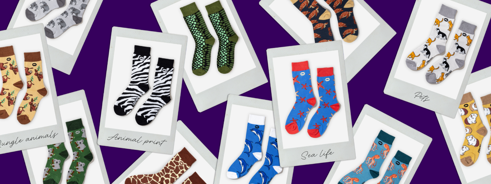 Hedgy's growing sock range